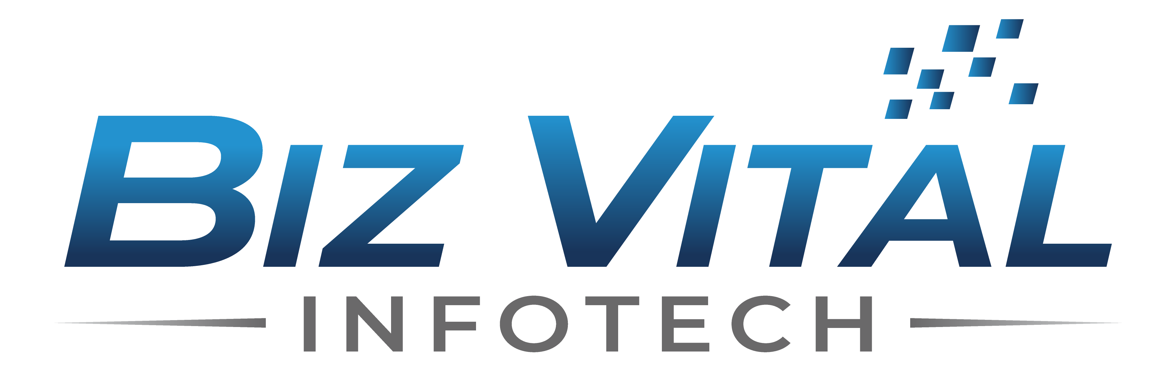 BIZVITAL INFOTECH